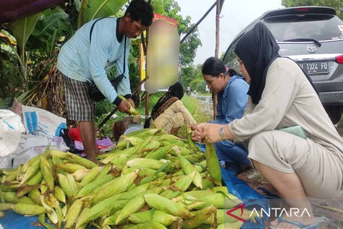 Pedagang jagung di Sampit raup omzet jutaan di momen pergantian tahun