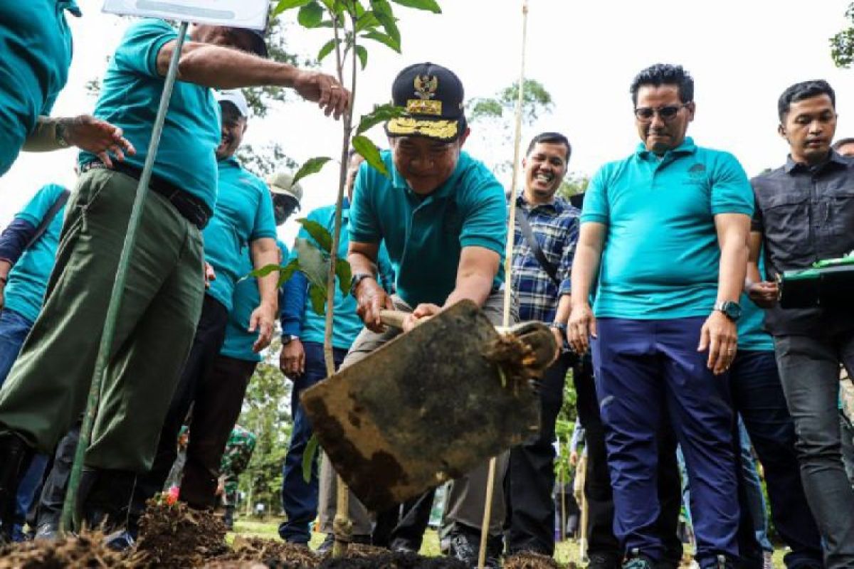Gubernur Sumut ajak masyarakat  gencarkan gerakan tanam pohon