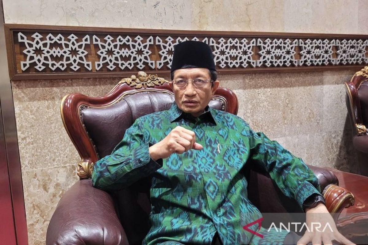 Indonesia a global model for mosque development: Grand Imam