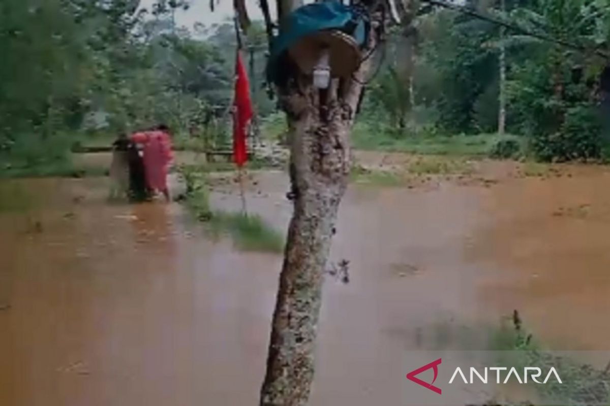 Banjir rendam rumah dan lahan pertanian serta tambak di Sukabumi