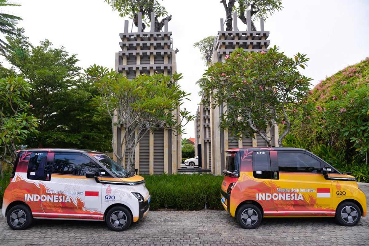 Menilik kontribusi mobil listrik China di Indonesia