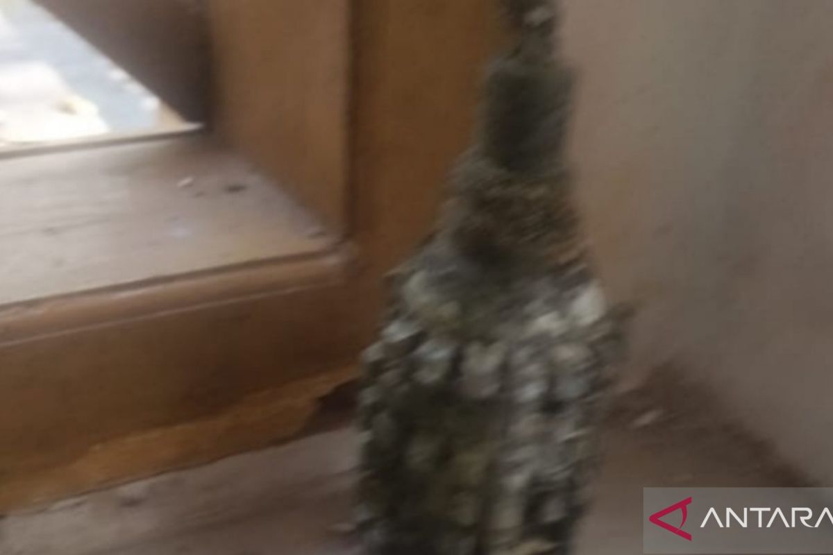 Wisatawan temukan granat saat berlibur di Pulau Bokori Konawe
