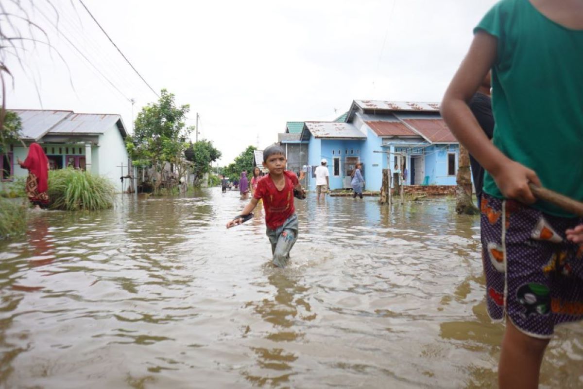 Sembilan daerah di Riau  Siaga Darurat Banjir