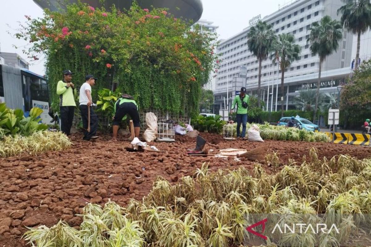 Tanaman rusak akibat malam tahun baru di DKI hanya 208 meter persegi