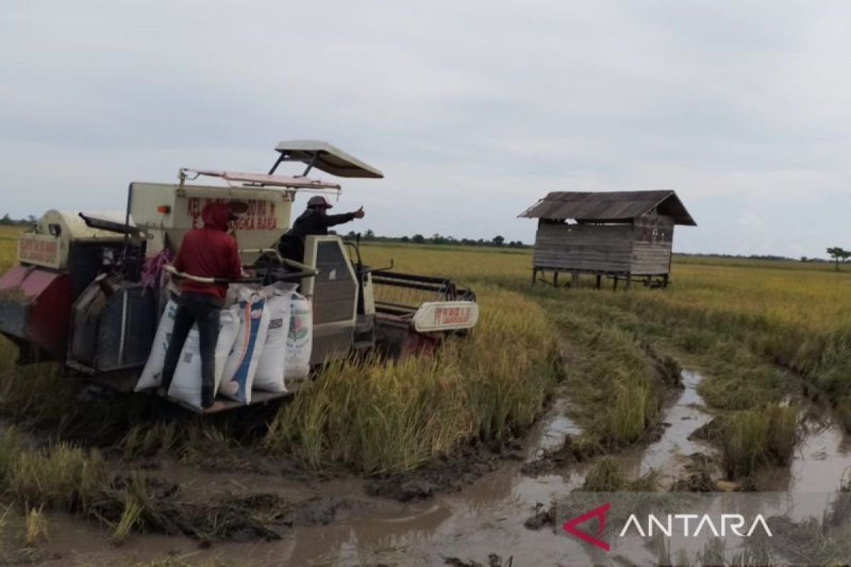 Pemprov Kaltim buat sumur bor bantu pengairan sawah di Kabupaten Penajam