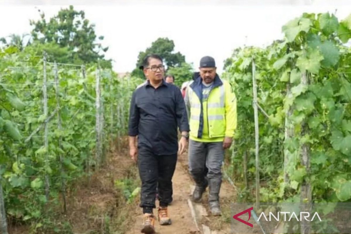 Komitmen Kaltim lepas ketergantungan dari batu bara dan migas