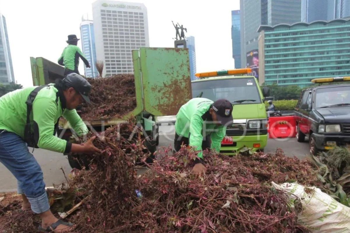 DKI diminta evaluasi perayaan tahun baru imbas tanaman rusak