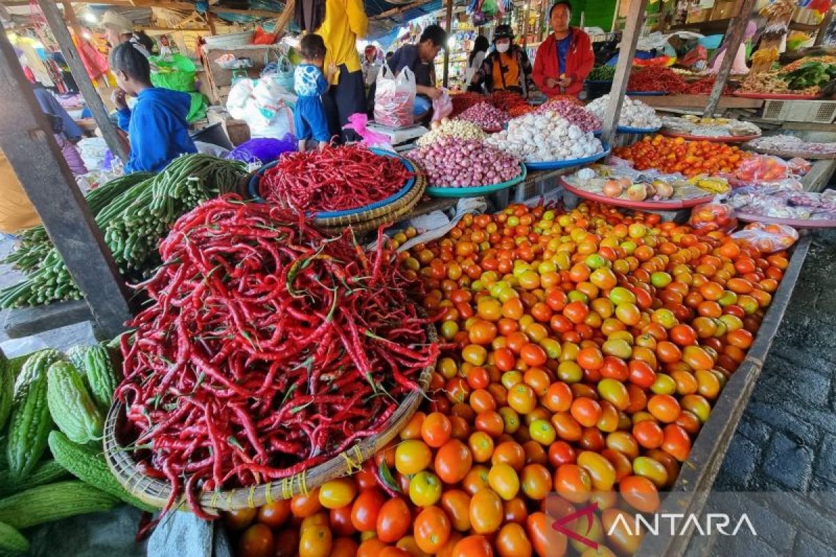 BPS Papua Barat: Inflasi dua kota IHK pada Desember 2,94 persen