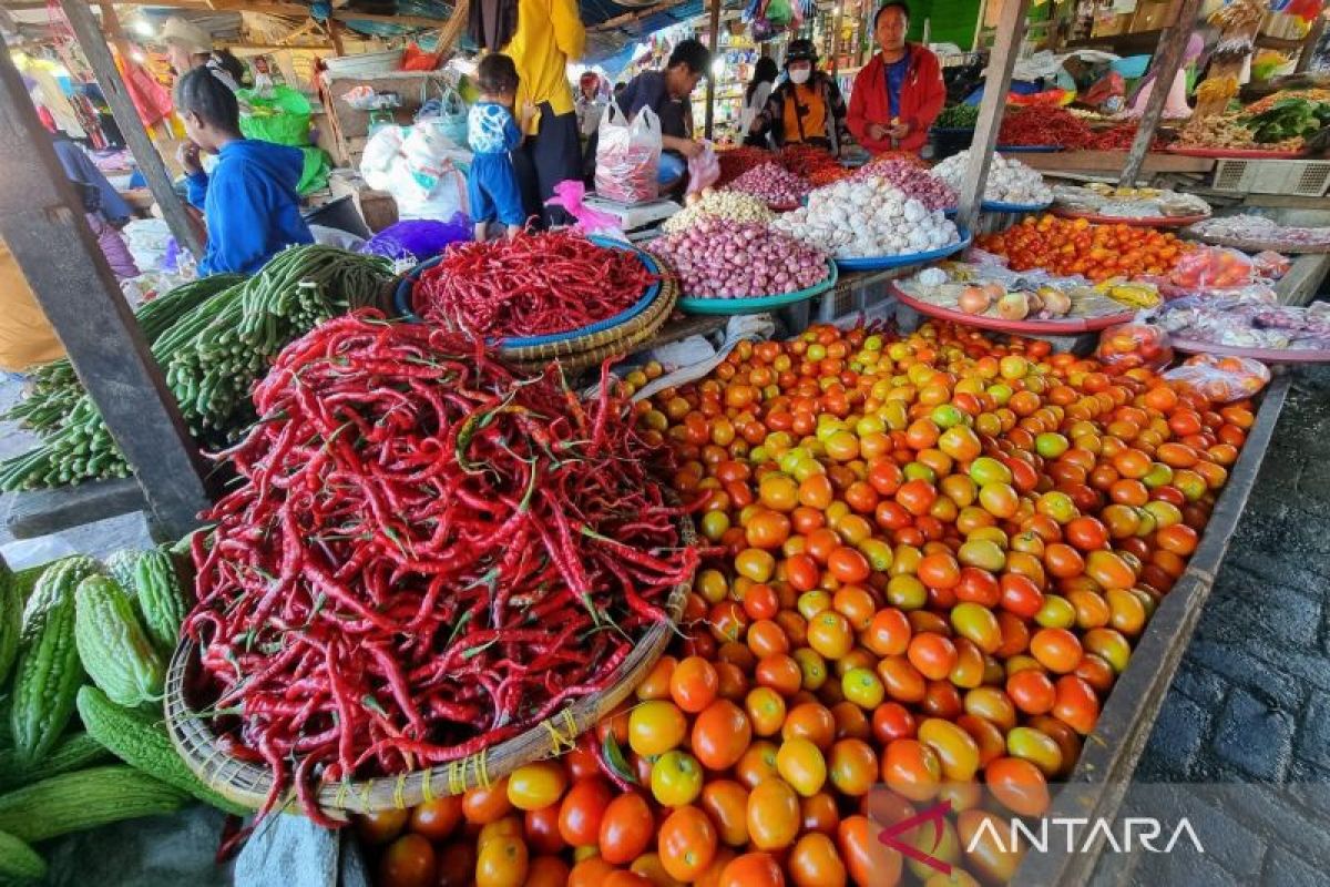 BPS Papua Barat: Inflasi dua kota IHK pada Desember 2,94 persen