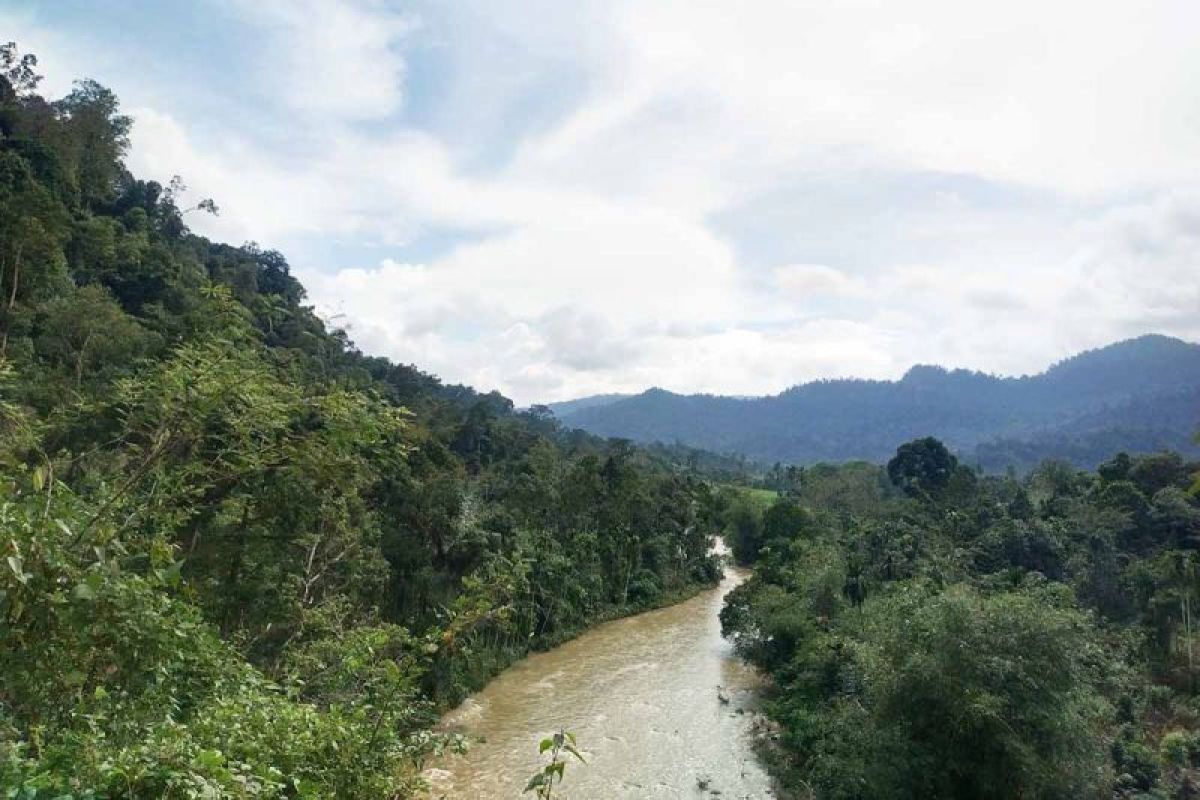 Aceh Timur kembangkan Bunin jadi desa ekowisata