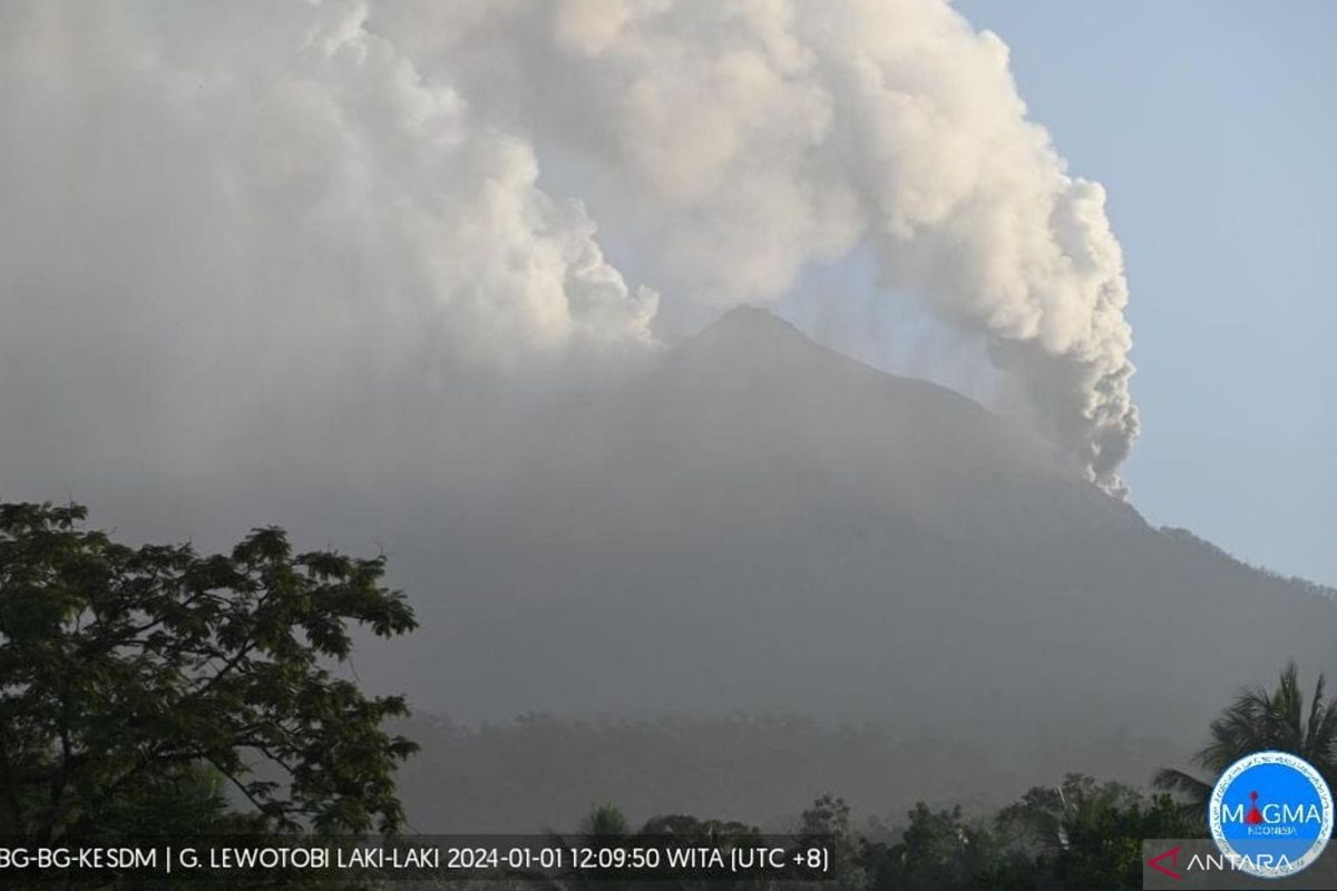 BPBD Flores Timur tangani korban erupsi Gunung Lewotobi