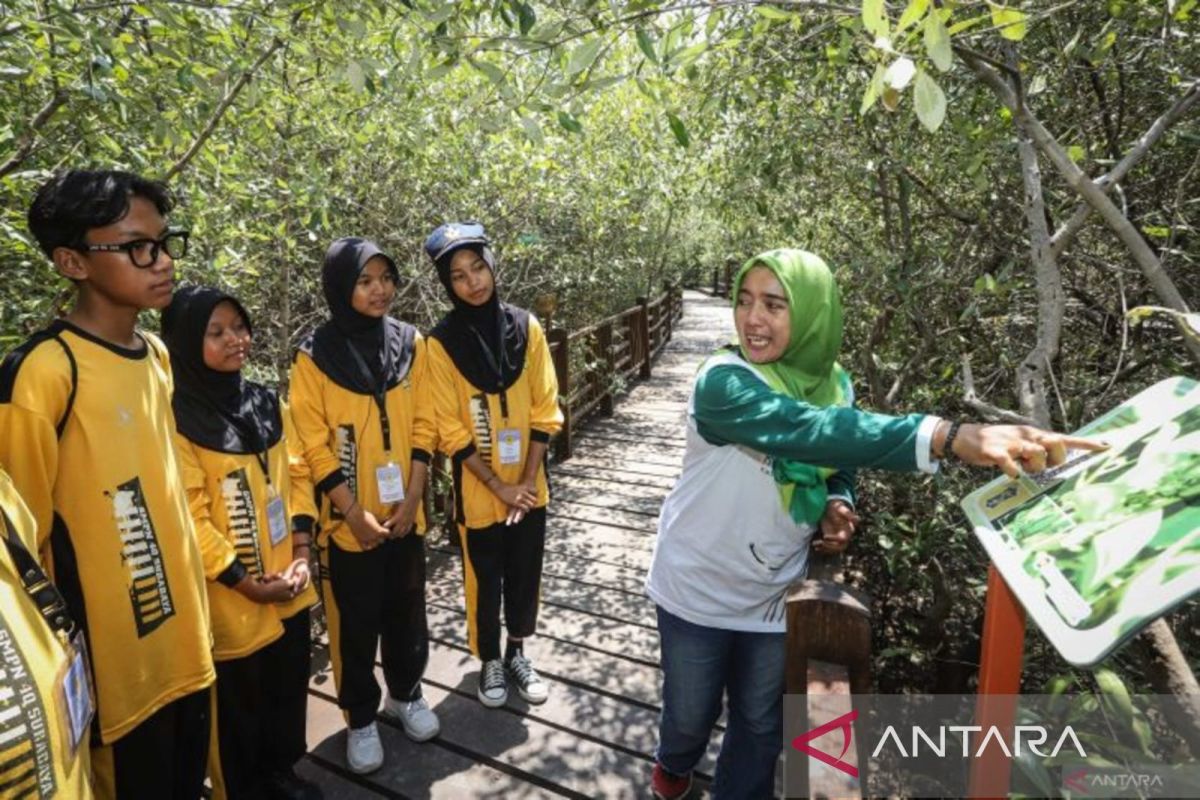 Pengembangan kebun raya daerah untuk konservasi tumbuhan, kata BRIN