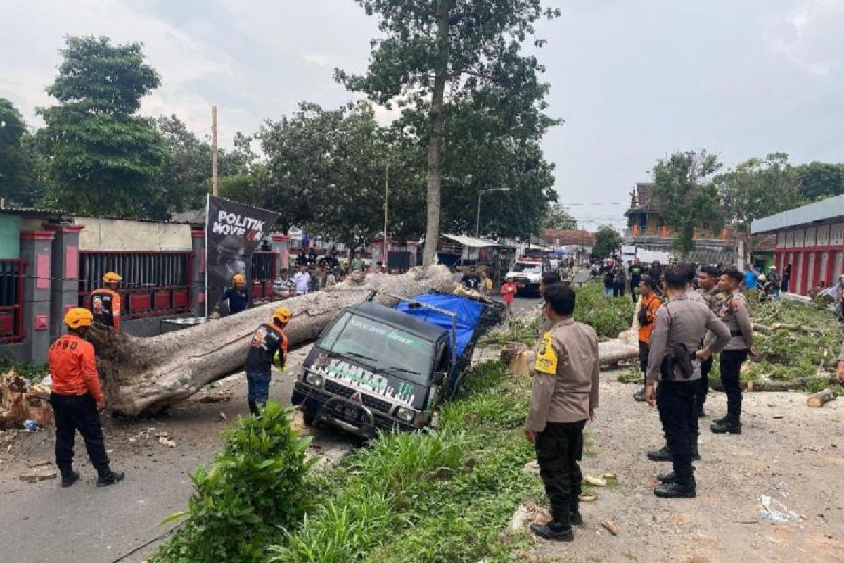 Angin kencang landa Blitar, satu pikap tertimpa pohon tumbang