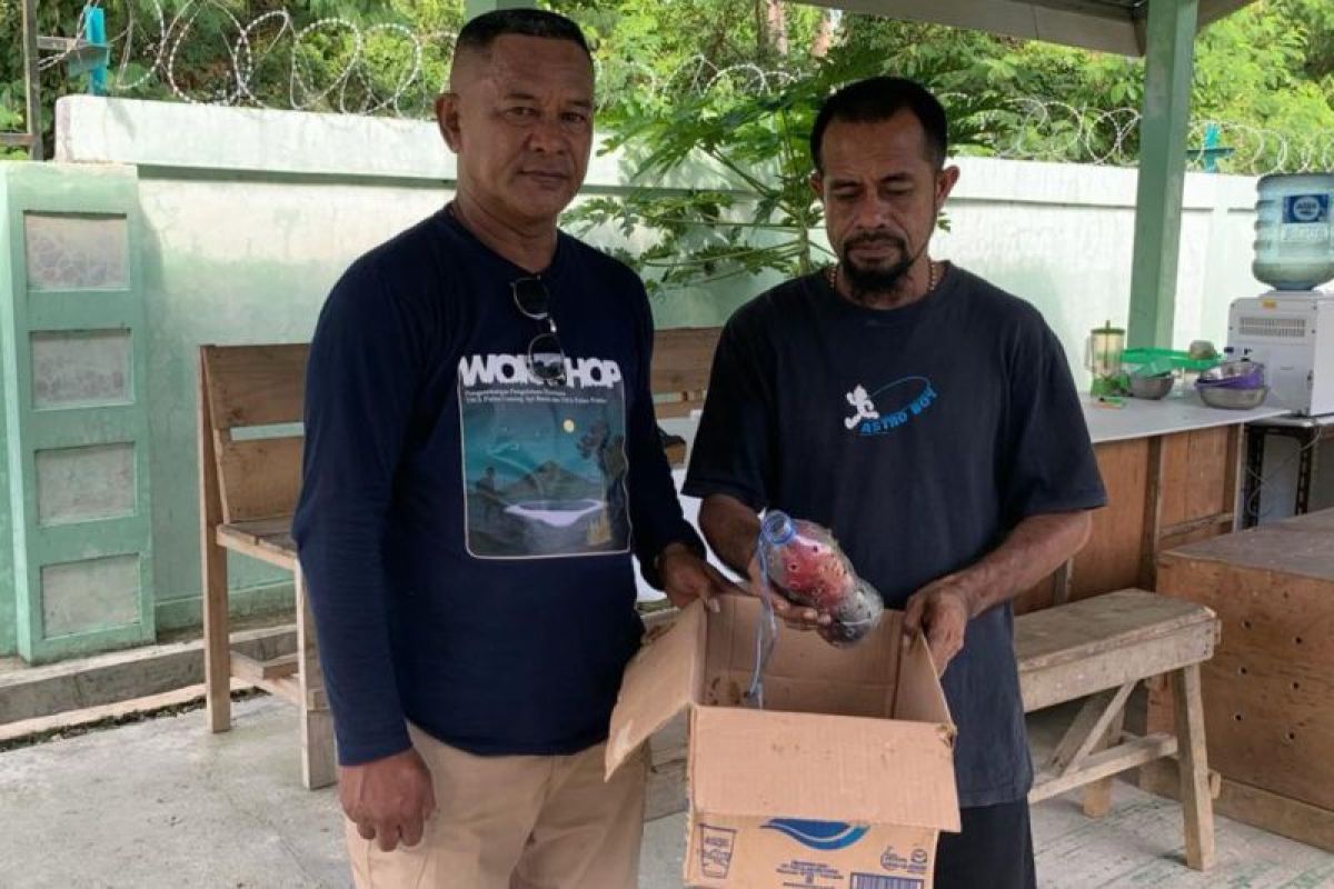 BKSDA Maluku amankan seekor burung Kasturi dalam botol mineral di kapal Pelni