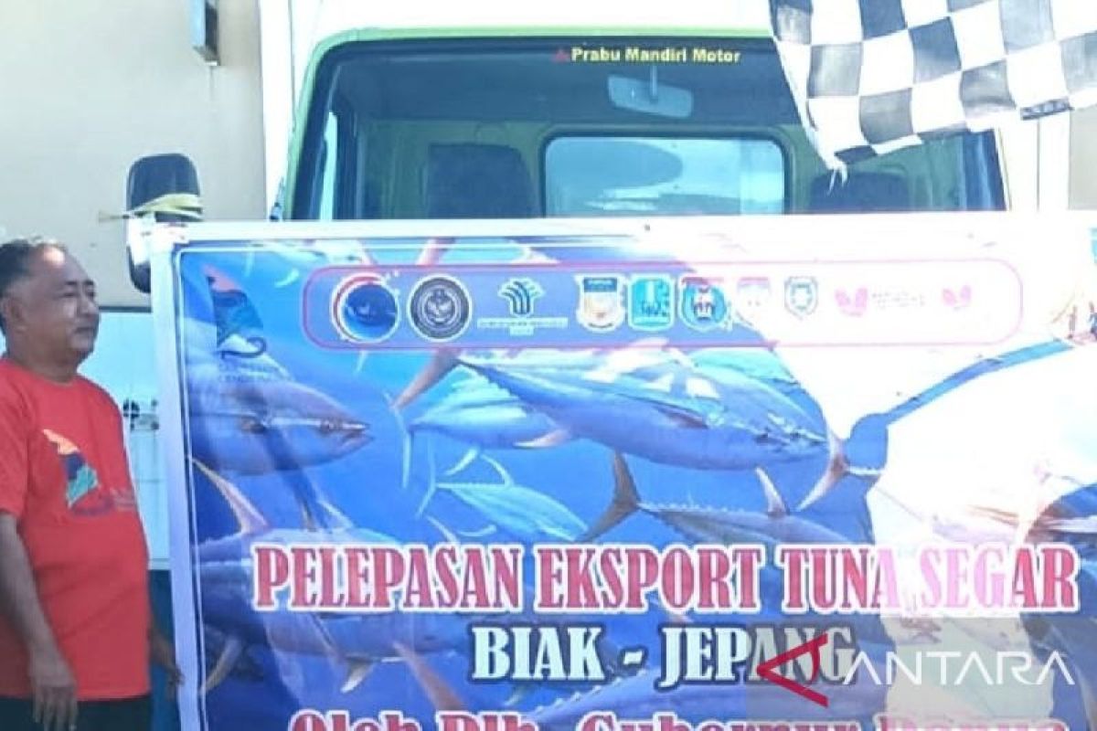 SKPT Biak ekspor ikan tuna segar tujuh ton ke Jepang