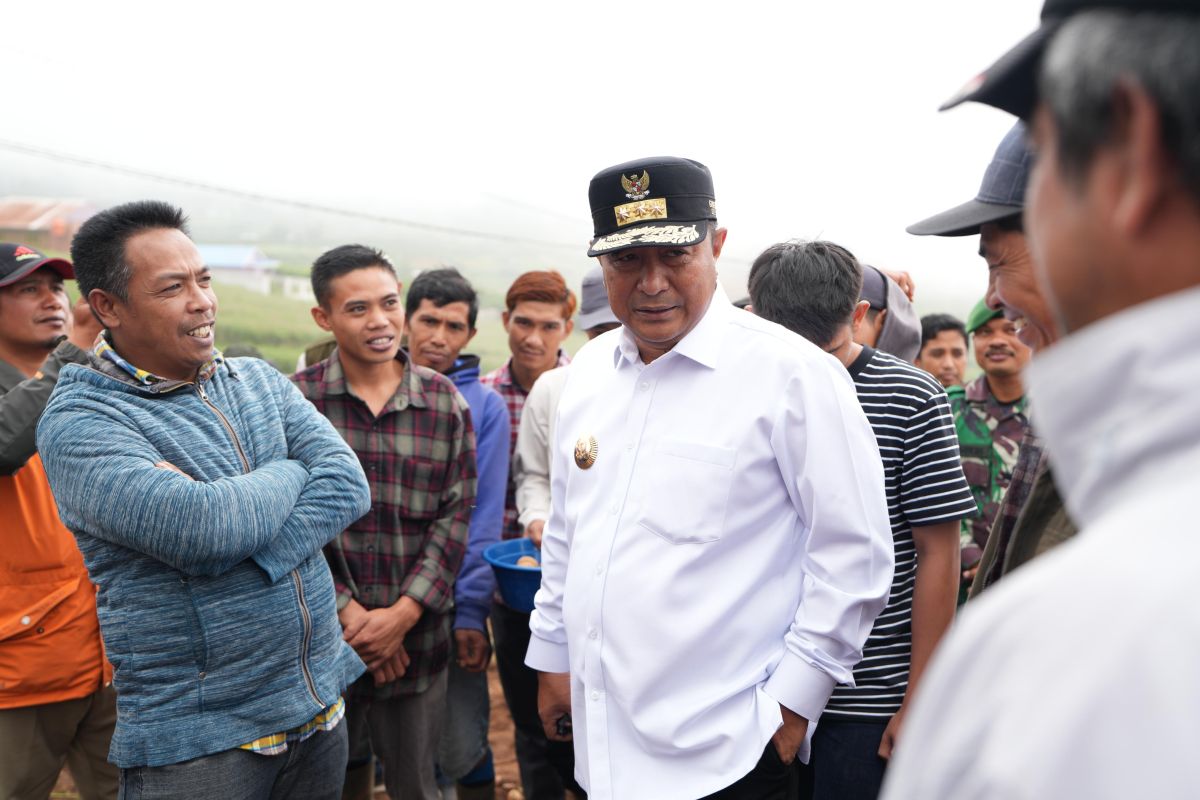 Pj Gubernur Sulsel tanam kentang bersama petani Tinggimoncong Gowa