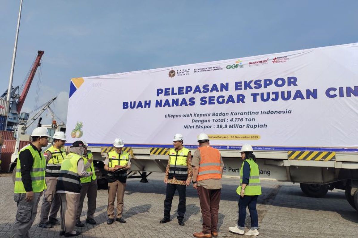 BPS: Nilai ekspor Lampung Januari-November 2023 capai 4,27 miliar dolar AS