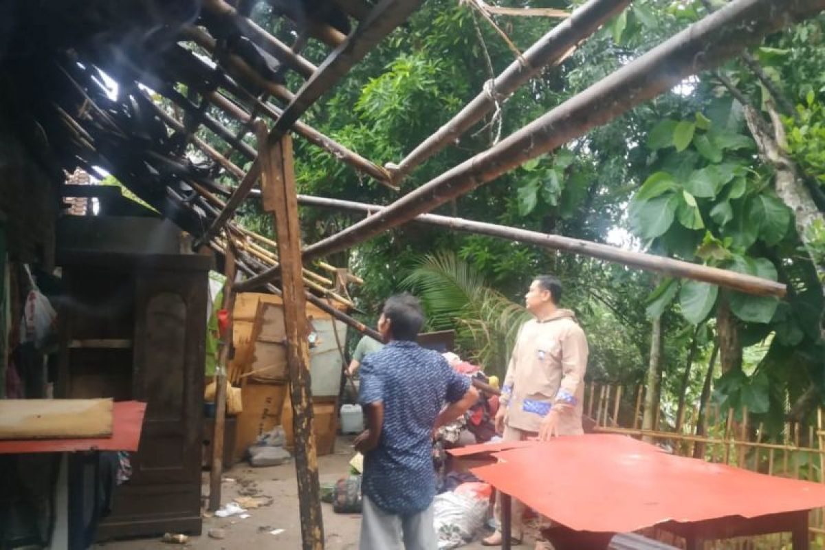 BPBD : Angin kencang di Bantul sebabkan 22 kejadian pohon tumbang