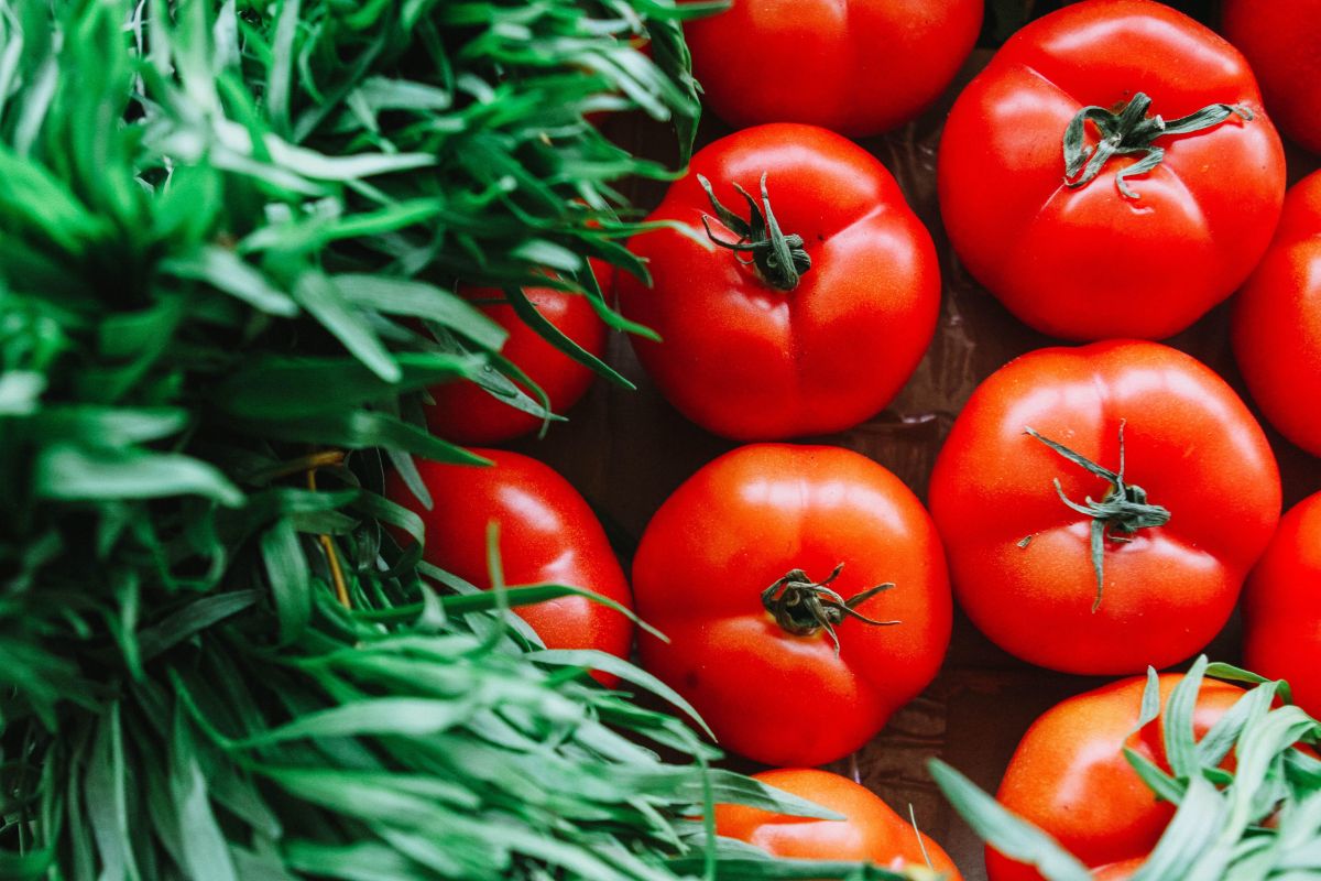 Makan lebih banyak tomat membantu mencegah tekanan darah tinggi