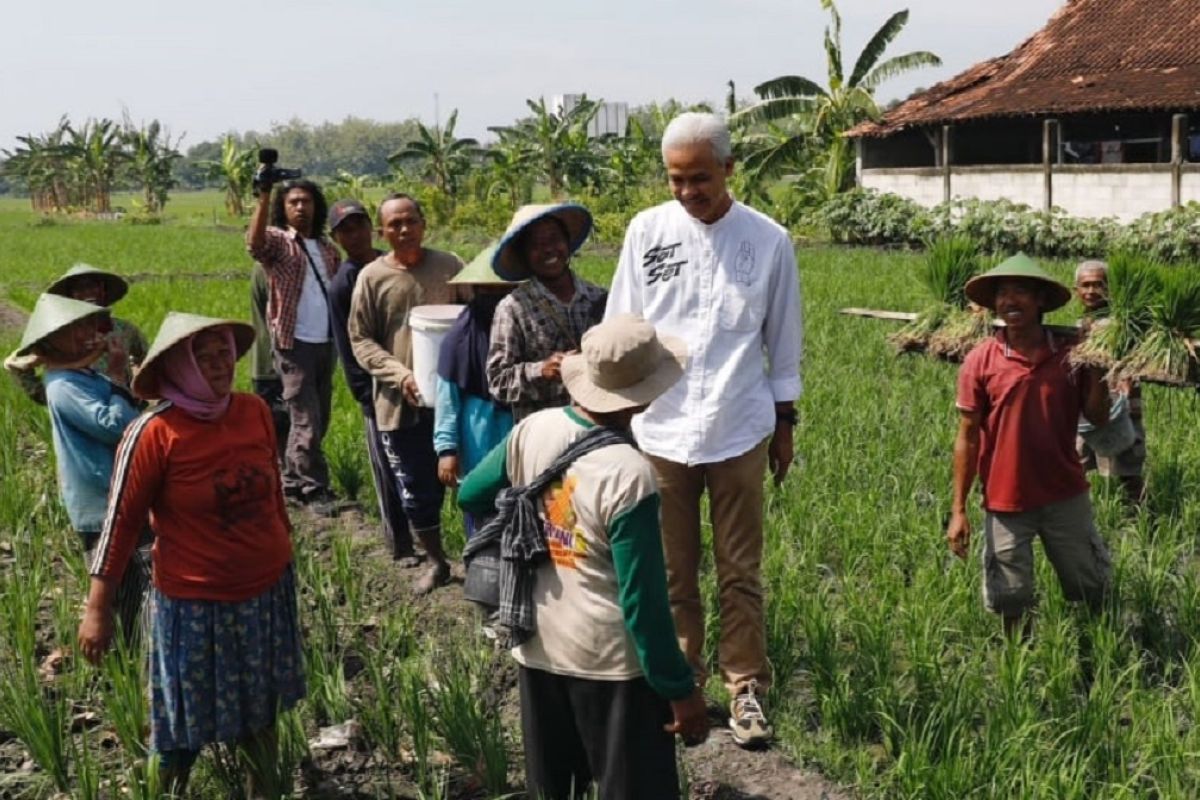 Ganjar Pranowo minta TPN bantu atasi hama tikus-kredit macet petani di Blora