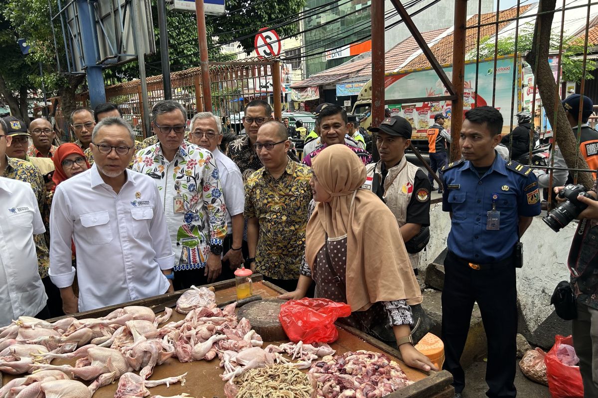 Mendag : Pemenuhan supply kunci inflasi tahun 2023 turun jauh