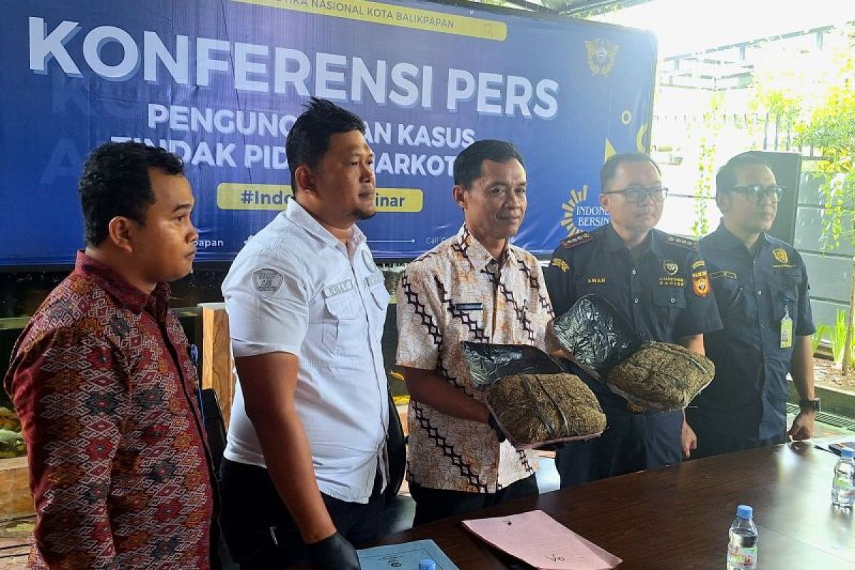 BNNK Balikpapan berhasil gagalkan peredaran ganja 1,96 kilogram asal Pangkal Pinang