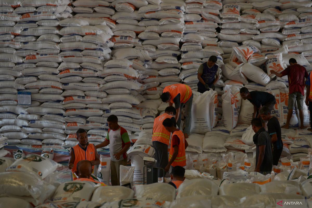 Kebijakan holistik kunci stabilisasi harga beras