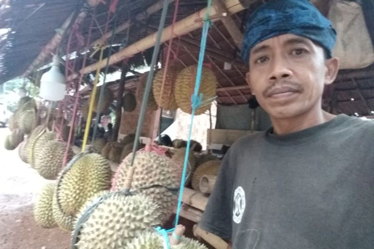 Warga Badui panen durian lagi