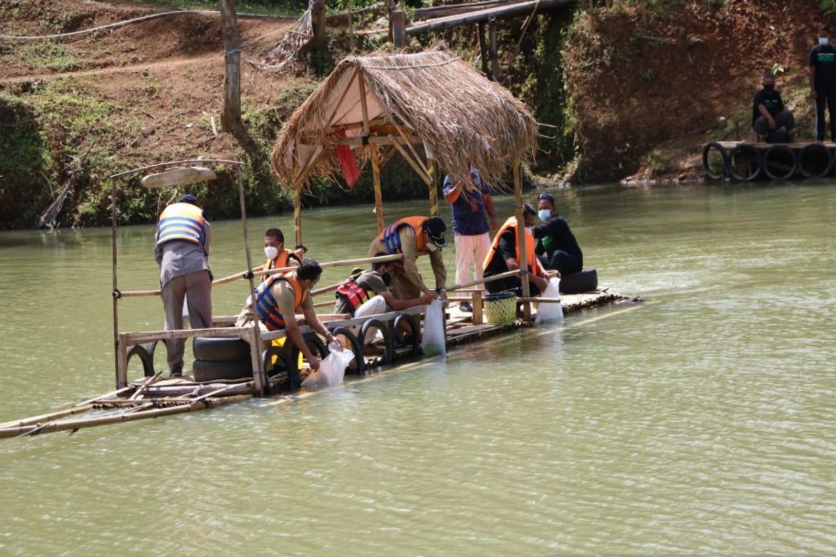 DKP Kulon Progo mengingatkan masyarakat tidak tebar benih ikan invasif