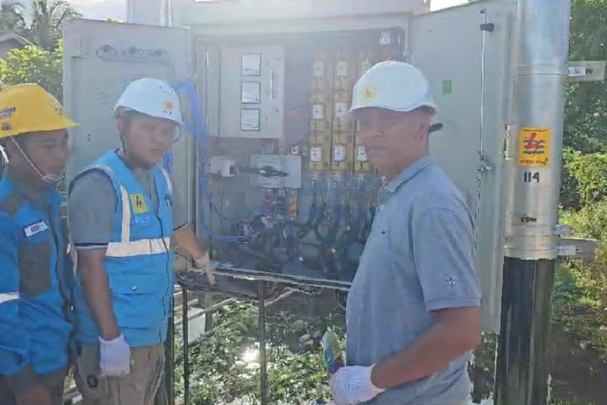 Ratusan warga Desa Pulau Nibung nikmati listrik PLN