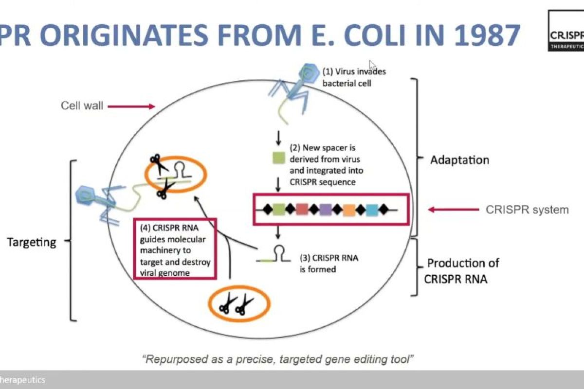 Peneliti paparkan mekanisme kerja "gene editing"