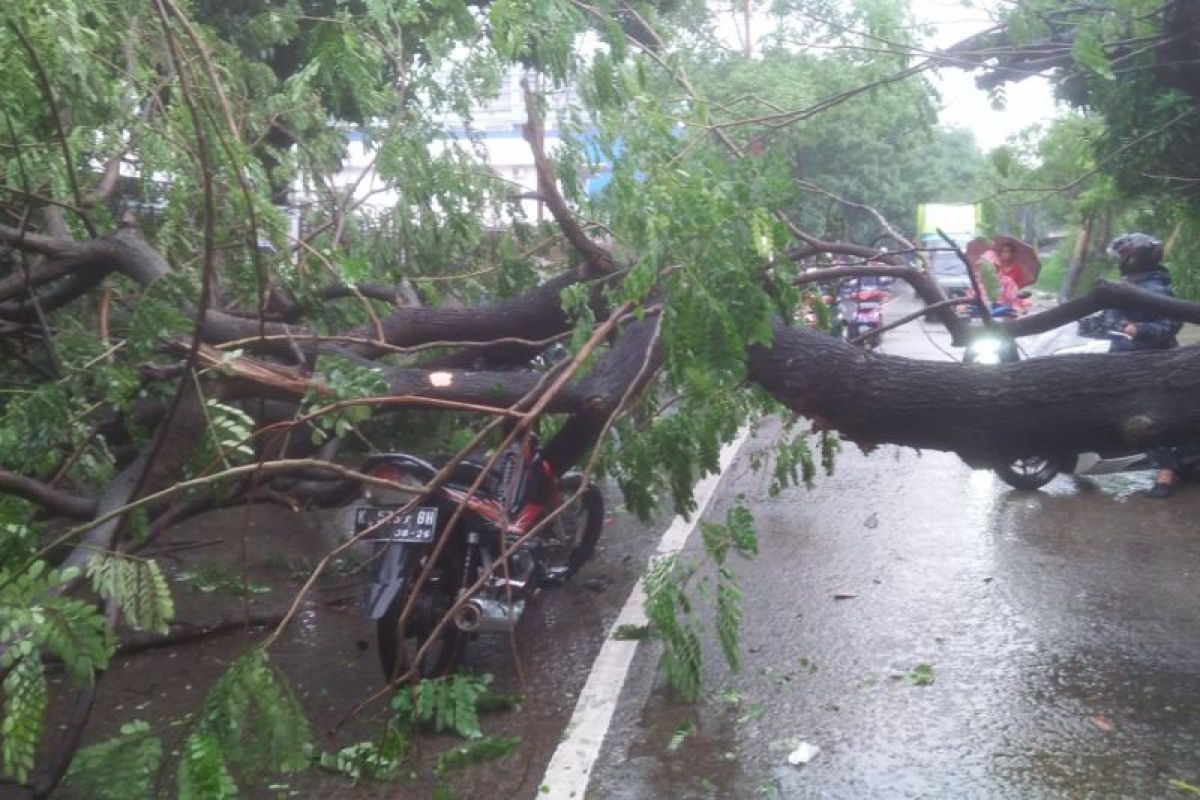 Satu unit motor di Tangerang hancur tertimpa pohon akibat angin kencang