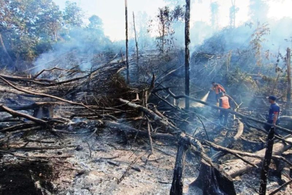 BMKG Balikpapan deteksi 38 titik panas di Kalimantan Timur