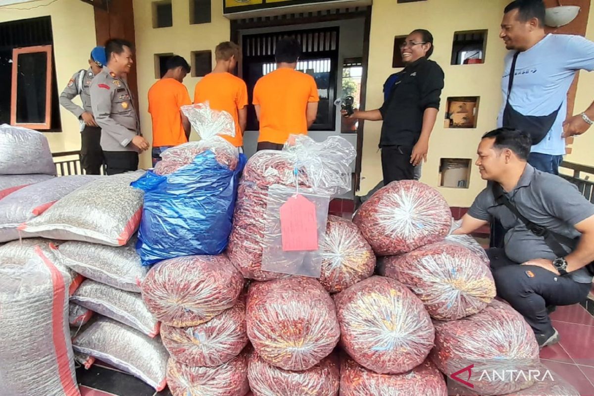Polisi tangkap komplotan pencuri puluhan karung cabai kering di NTB