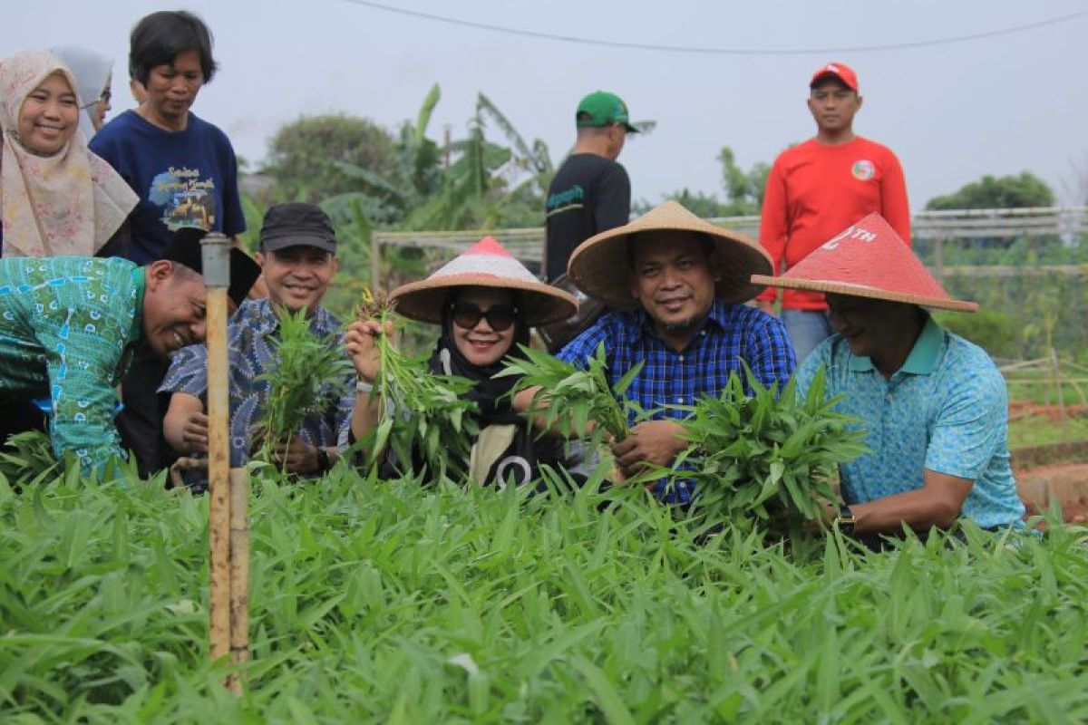 Kelompok wani tani Tangerang manfaatkan lahan jadi pertanian produktif