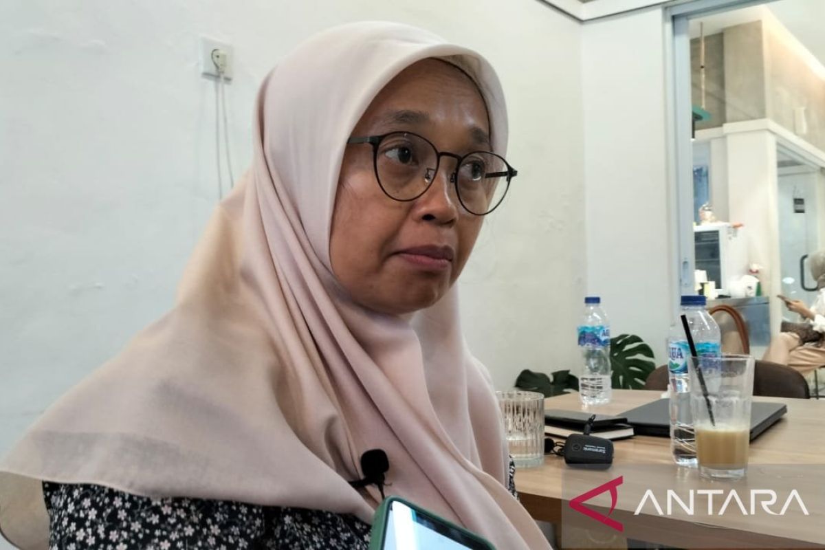 Ombudsman segera rampungkan investigasi dugaan malaadministrasi Gunung Marapi Sumbar