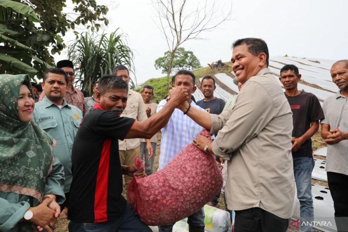 Pemkot Lhokseumawe galakkan tanam bawang merah untuk ketahanan pangan