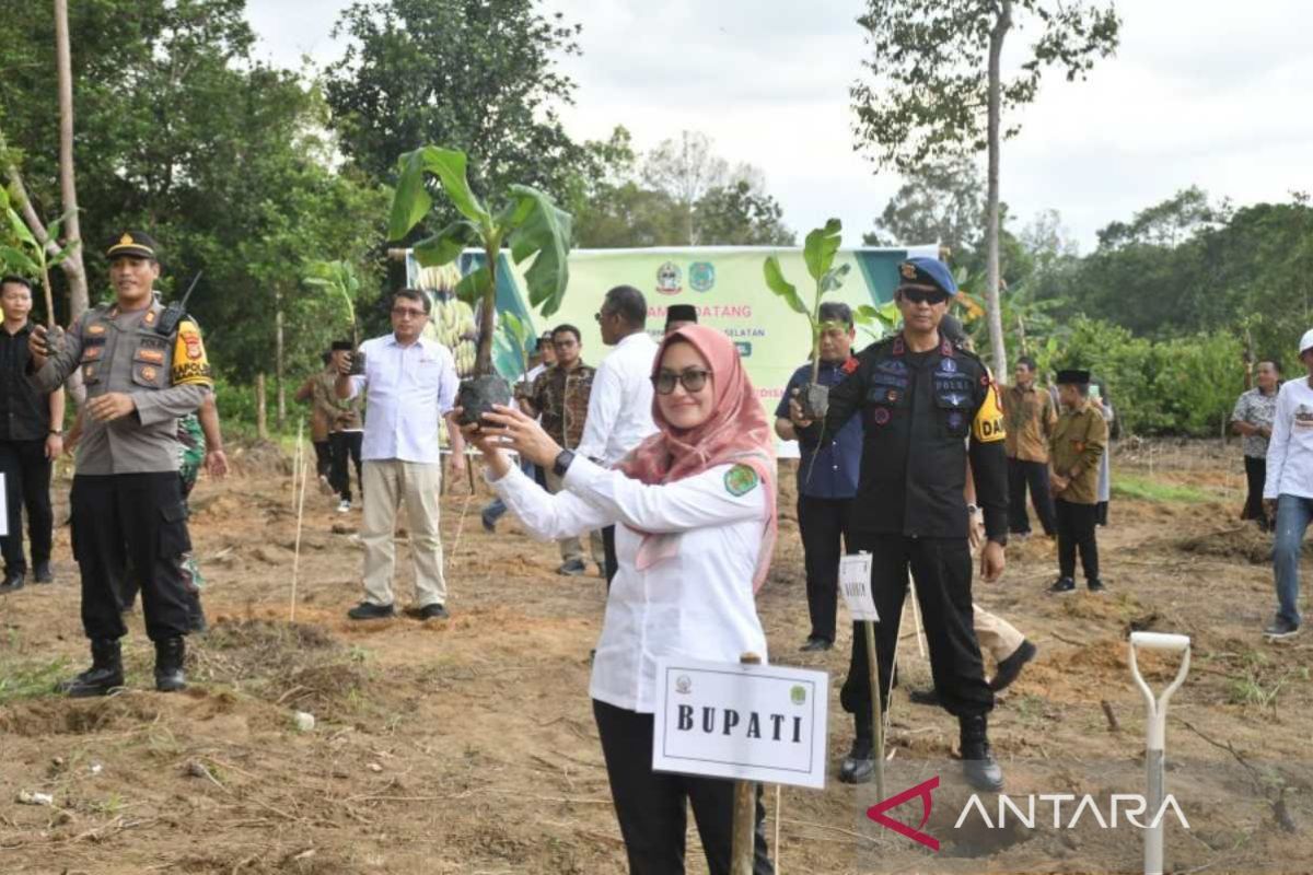 Pemkab Luwu Utara siapkan 300 hektare lahan untuk program tanam pisang