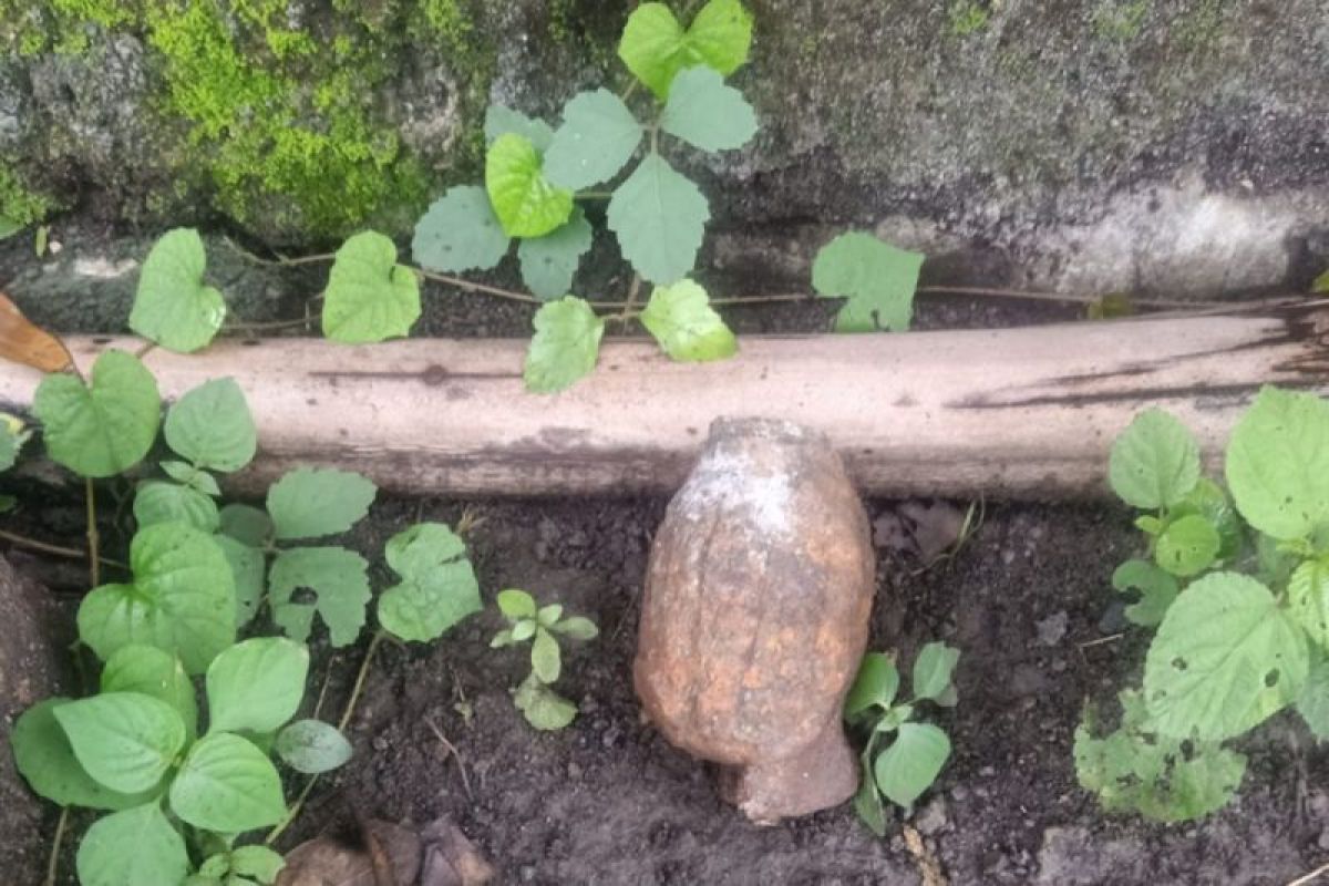 Sebuah granat nanas ditemukan di Lombok Tengah