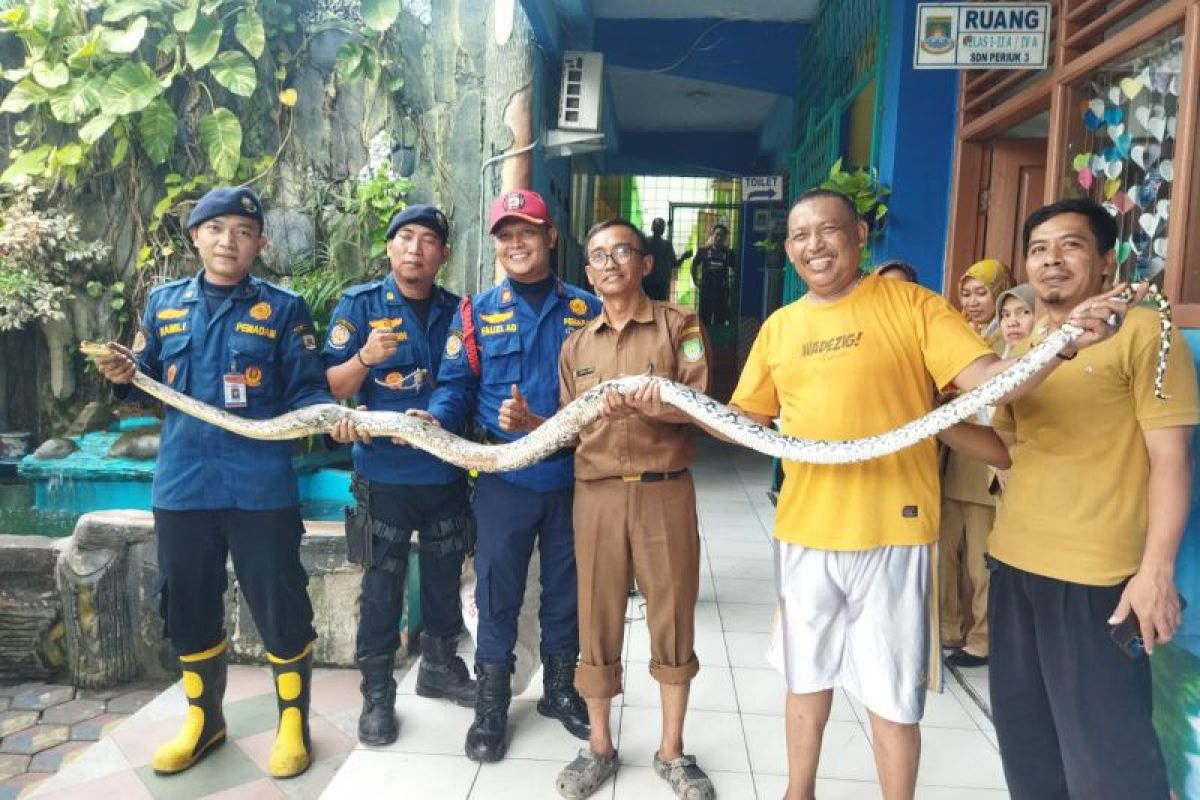 BPBD Tangerang imbau masyarakat  waspadai kemunculan ular saat musim hujan