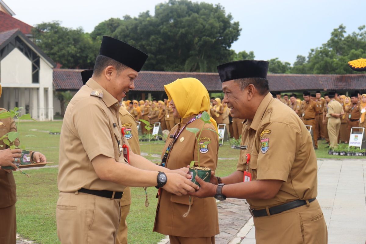 DPKP Tangerang sebut hasil penanaman cabai bisa tembus 1,5 ton