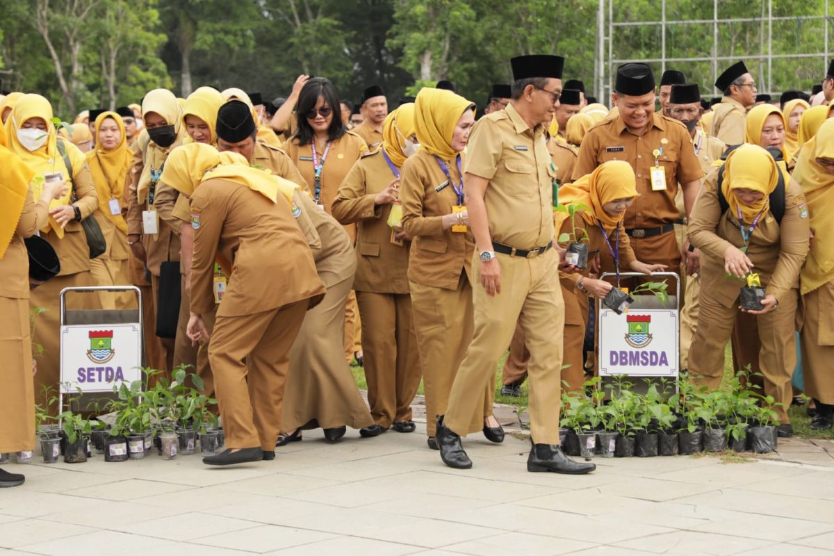ASN Kabupaten Tangerang dapat pembagian bibit cabai