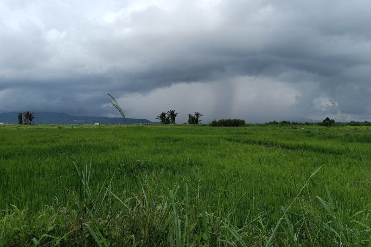 BMKG:  Sulawesi Utara berpotensi dilanda cuaca ekstrem sepekan ke depan