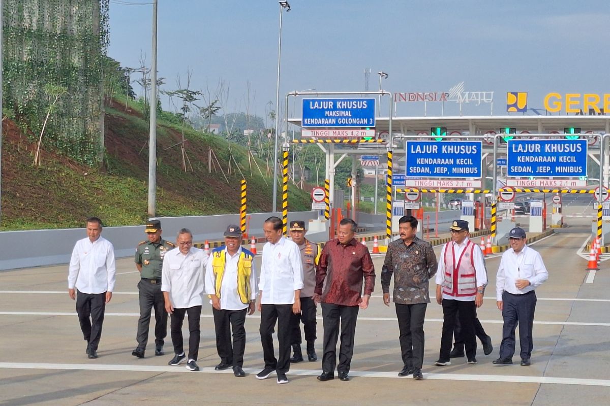 Government to continue 42 unfinished PSNs after 2024: Jokowi