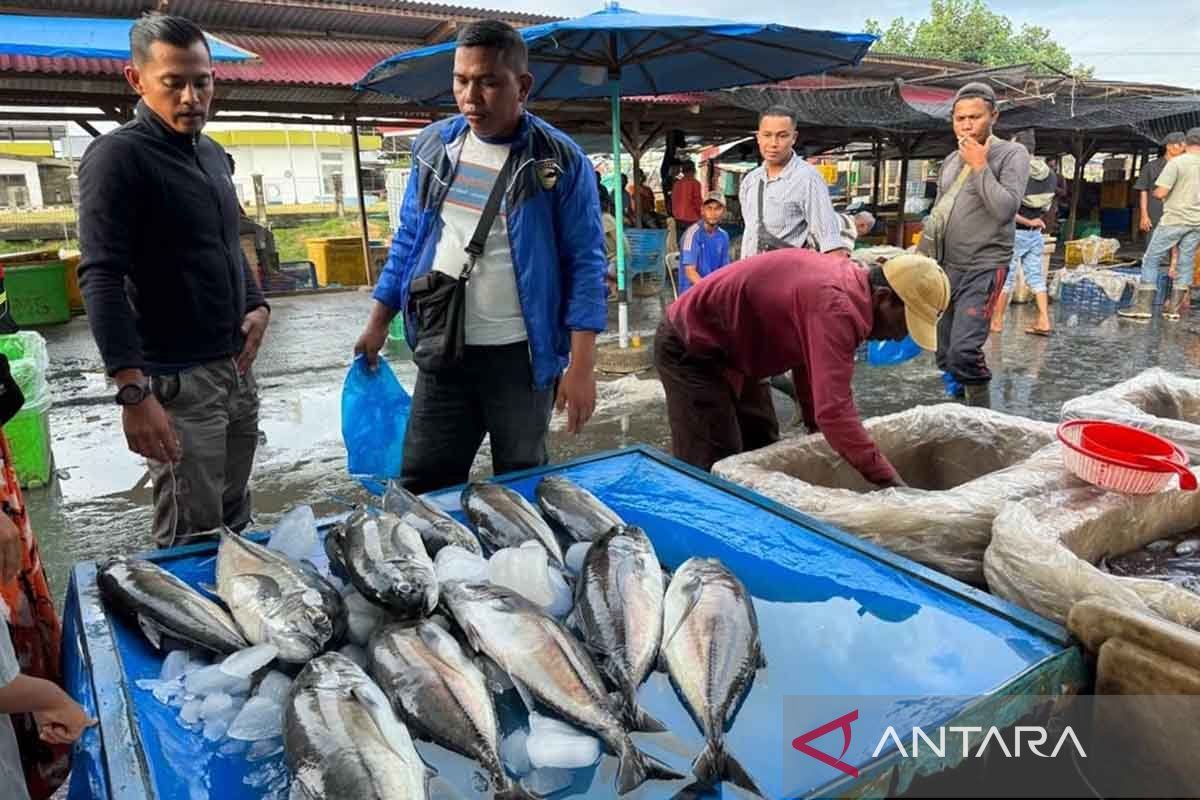 Produksi ikan di Aceh Timur capai 11,28 ribu ton