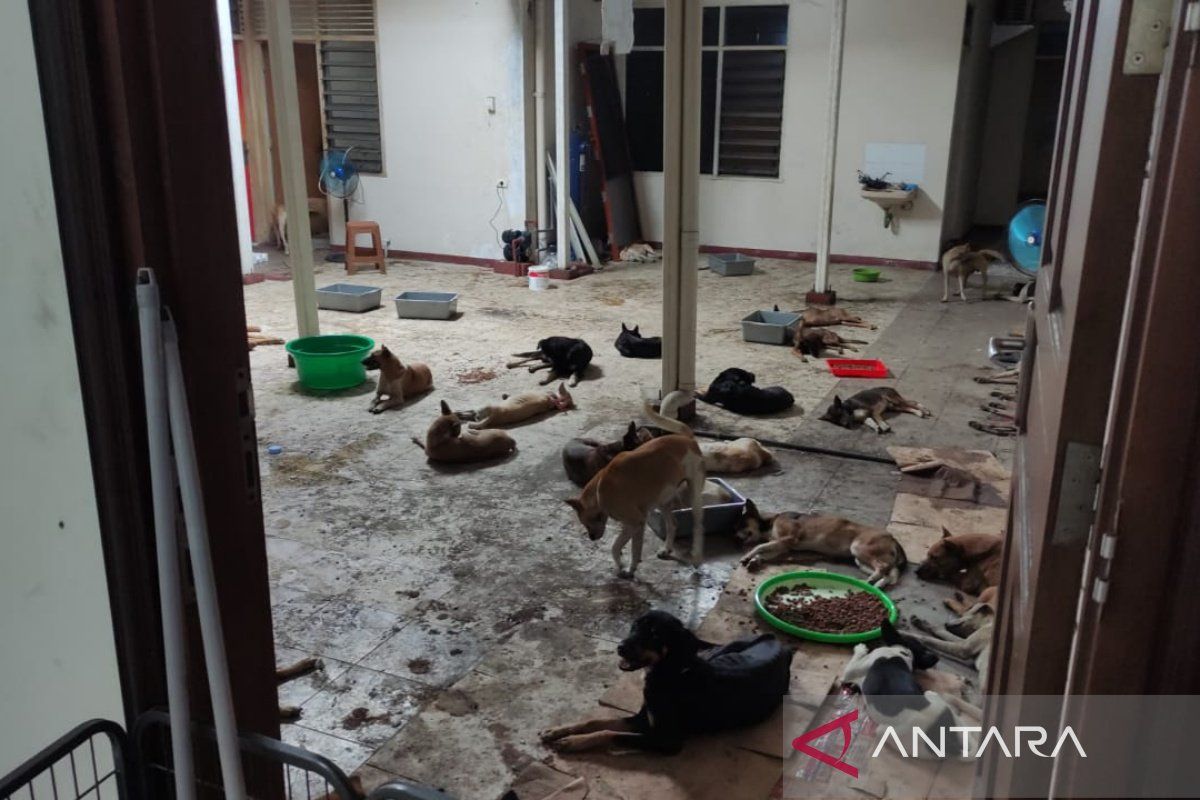 Sragen sosialisasikan larangan konsumsi daging anjing