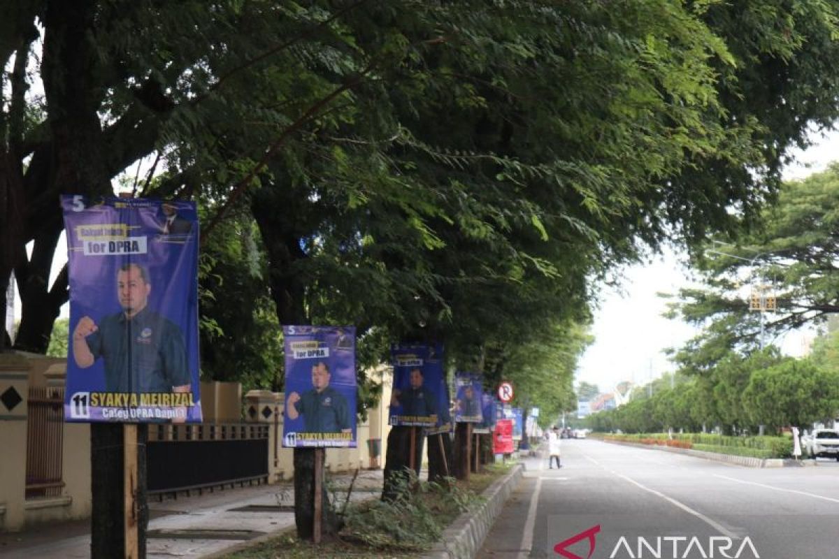 Pemasangan APK caleg di pohon masih marak di Aceh, ini dampaknya ke lingkungan