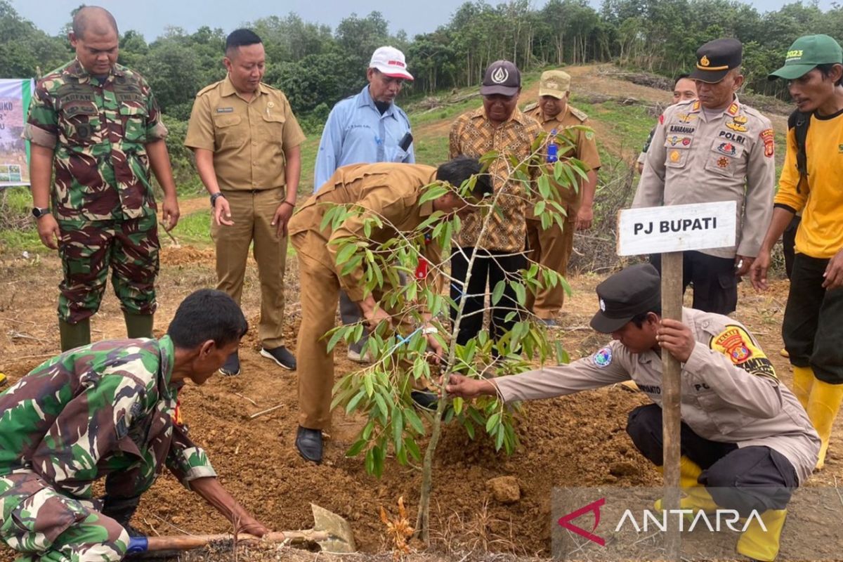 TNI-Polri Penajam  jaga keberlanjutan lingkungan dengan menanam pohon