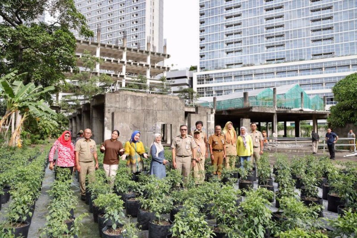 Pemkot Jakpus kelola lahan privat 4.500 meter jadi pertanian kota