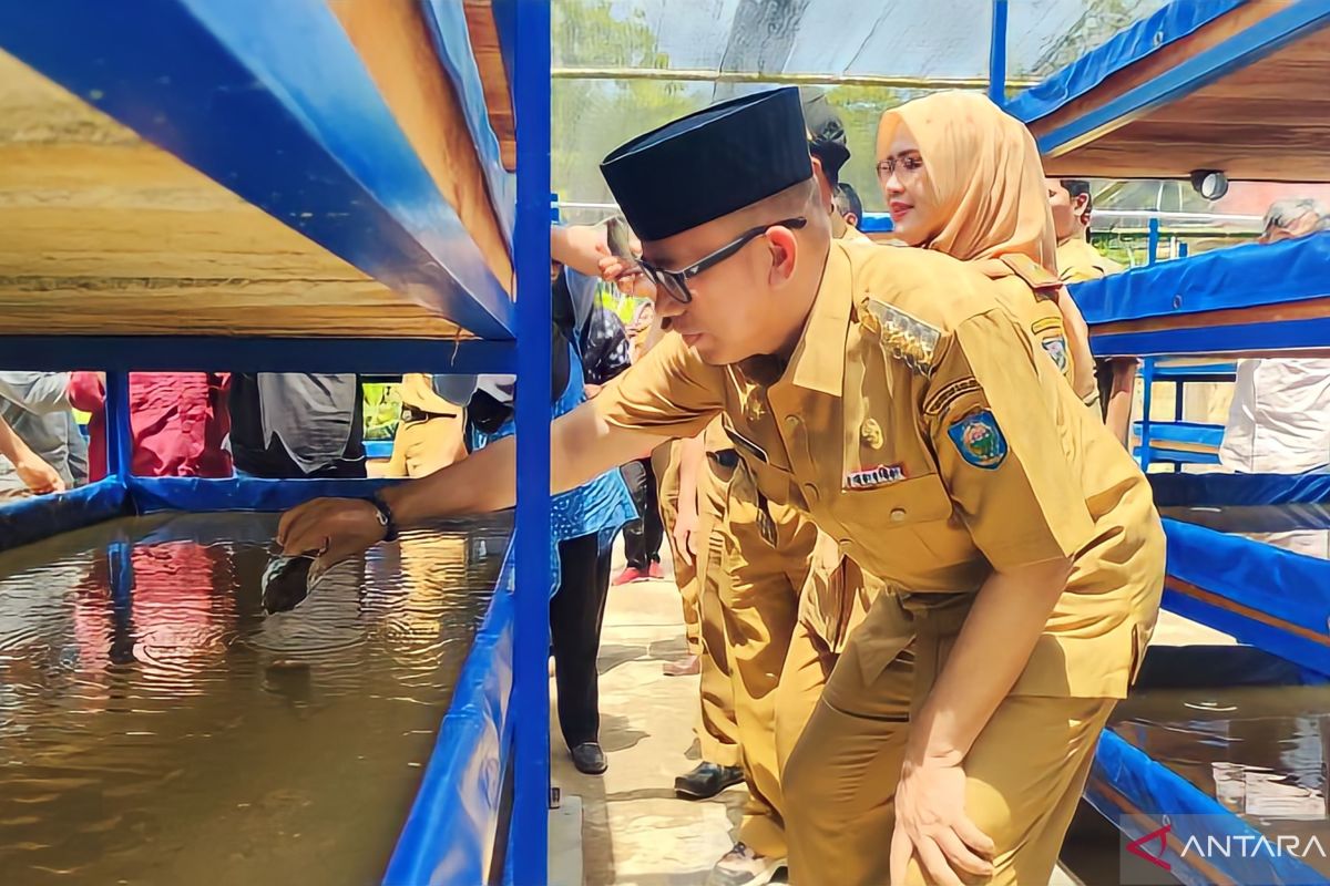 Ogan Komering Ulu kembangkan  budidaya cacing sutra